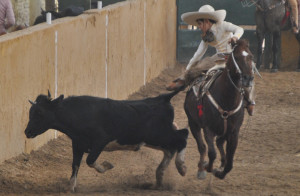 CHAMACO NACIONALITO